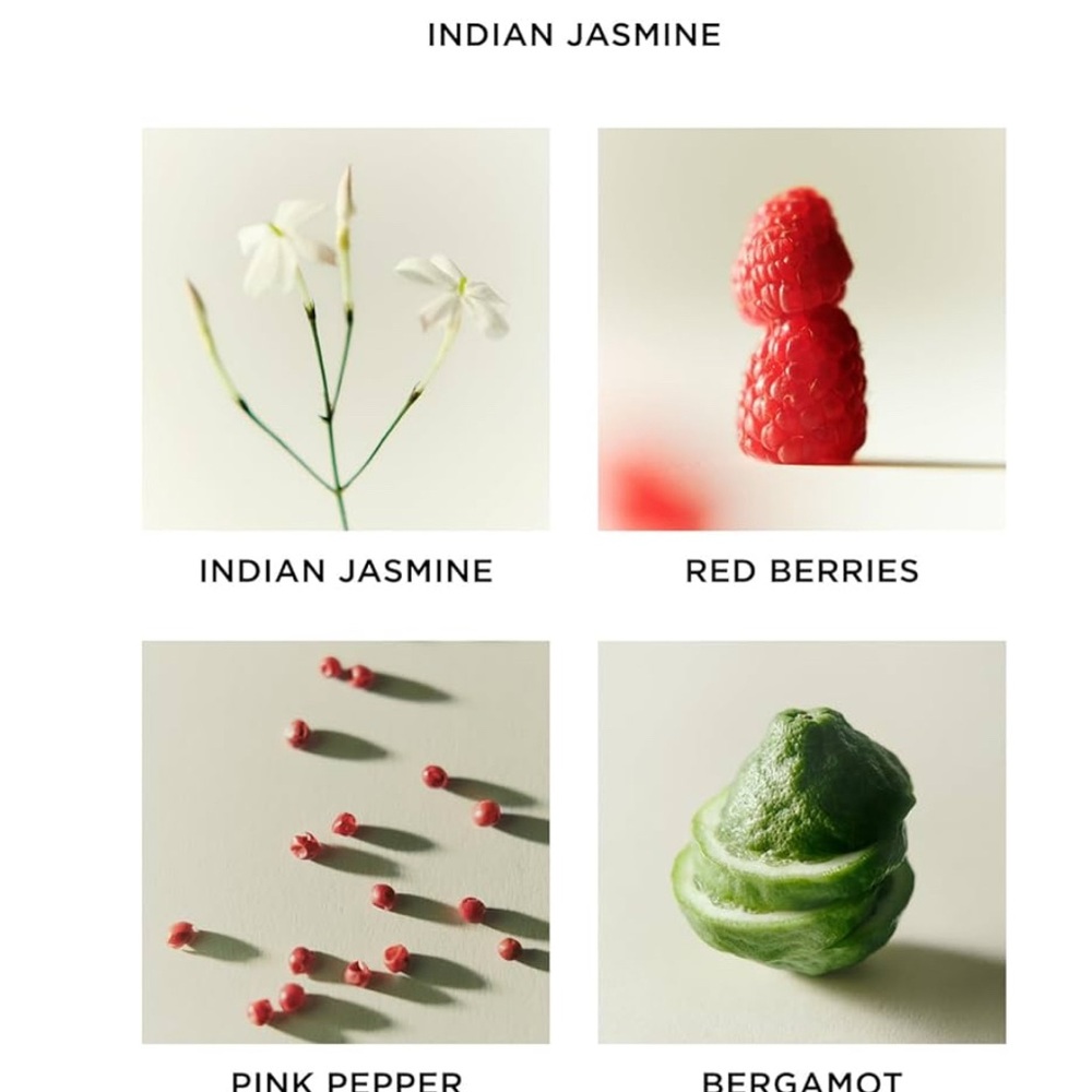 Nest New York diffuser- Indian jasmine - Picture 2 of 2